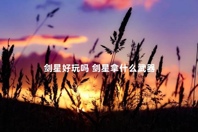 剑星好玩吗 剑星拿什么武器